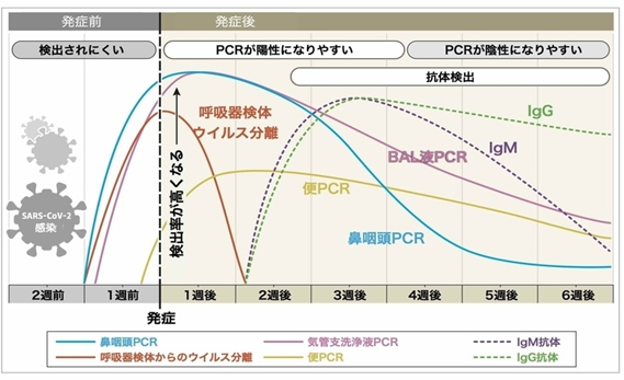 検査 結果 電話 pcr